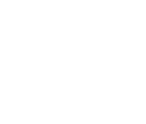 toelf logo bianco